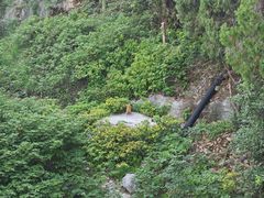 -云龙山