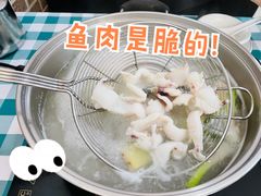 脆鲩鱼腩-中山脆肉鲩(新圳东路店)