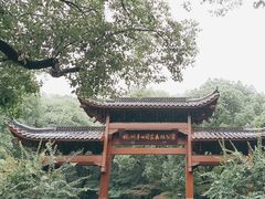 -杭州半山国家森林公园