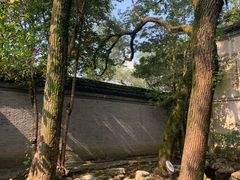 -天一阁博物院