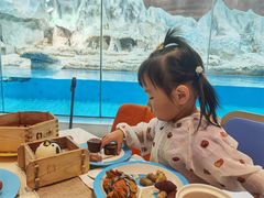 -帝企鹅自助餐厅•儿童岛•真企鹅(长隆企鹅酒店)