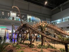 -自贡恐龙博物馆