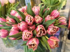 -九月里.自由花园餐厅