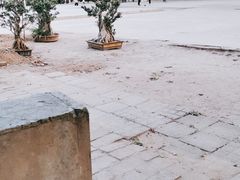 -洛阳市牡丹公园