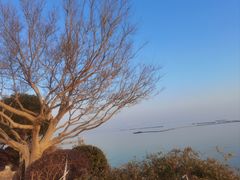 -贡湖湾湿地公园