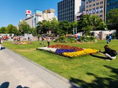 -札幌电视塔