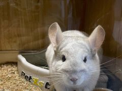 -龙猫仔乐园(惠福东路店)