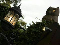 -草山夜未眠景观餐厅