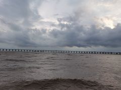 -宝安西湾红树林湿地公园