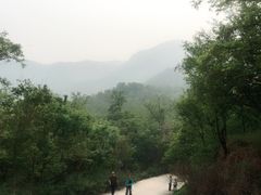 -阳台山自然风景区