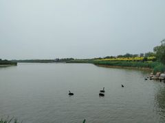 -天津东丽湖风景区