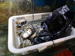 -岳各庄批发市场(西四环中路店)