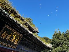 -潭柘寺景区