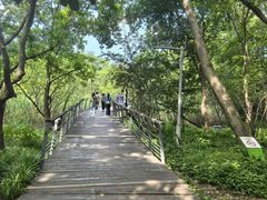 -西湖风景区-江洋畈生态公园