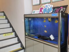 -艾维口腔(春江花月门诊部)