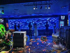 -太平洋海底世界