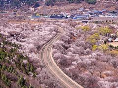 -居庸关长城