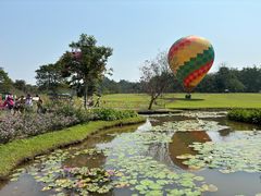 -中国科学院西双版纳热带植物园
