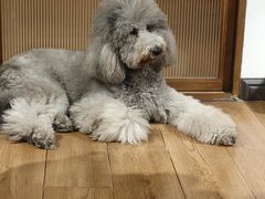 -沏点Trattoria意大利餐厅(新街口店)
