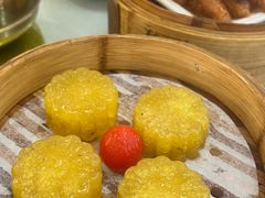 -泉龙渔村·粤式早茶·金牌烧鹅(中山三乡店)