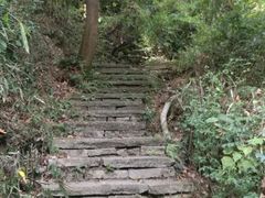 -杭州半山国家森林公园