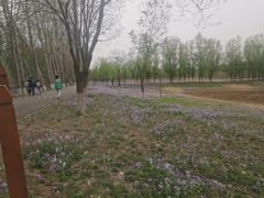 -东郊湿地公园