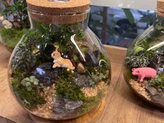 -弗劳尔花艺坊(龙涛店)