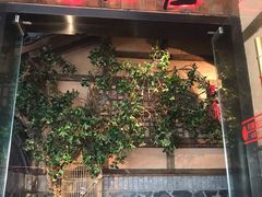 门面-哥老官重庆美蛙鱼头(西湖银泰十一哥店)