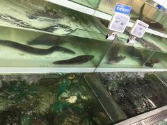 -盒马渔市餐厅