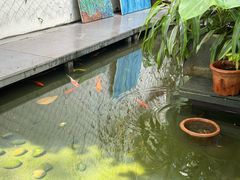-绿房子方寸咖啡(星海名城店)
