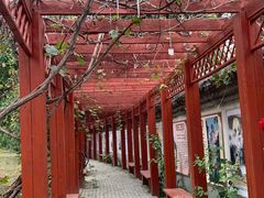 -盛世南宫影视城(北普陀影视城)