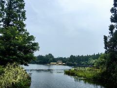 -东平国家森林公园