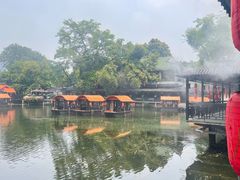 -侨美·唐荔园·40年地道粤菜