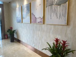 -诗媛嘉美健康管理中心(金桥店)