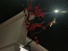 -春天来了(印象新天地店)