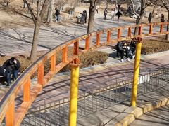 -朝阳公园游乐园