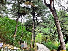 -北京西山国家森林公园