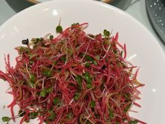 -海派美食·家宴海鲜青岛菜·石锅鲽鱼头(东方城店)