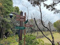 -上海滨江森林公园