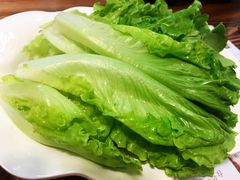 新鲜生菜-食爺炭炉鸡煲·烧烤
