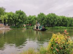-白洋淀景区