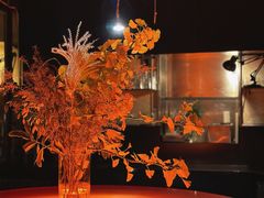 -毛辣果·酸(OHA复兴西路店)