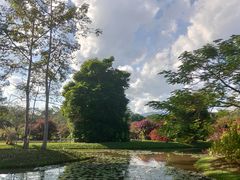 -中国科学院西双版纳热带植物园