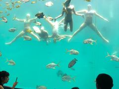 -瑞德姆美人鱼海底演艺主题餐厅(亚龙湾店)