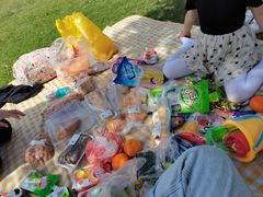 -田园东方蜜桃村的田野营地