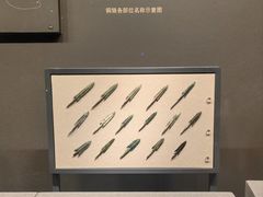 -广西民族博物馆