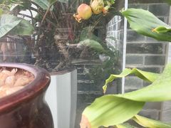 -茶油香·闽南菜(前埔店)