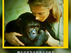 -万达影城(锦华万达广场IMAX店)