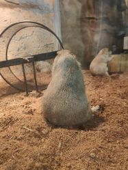 -Zoolung Zoolung动物主题公园(海信广场店)