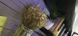 -木北造型
